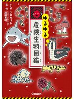 If you're interested in キラピチ KIRAPICHI(Library), you may also